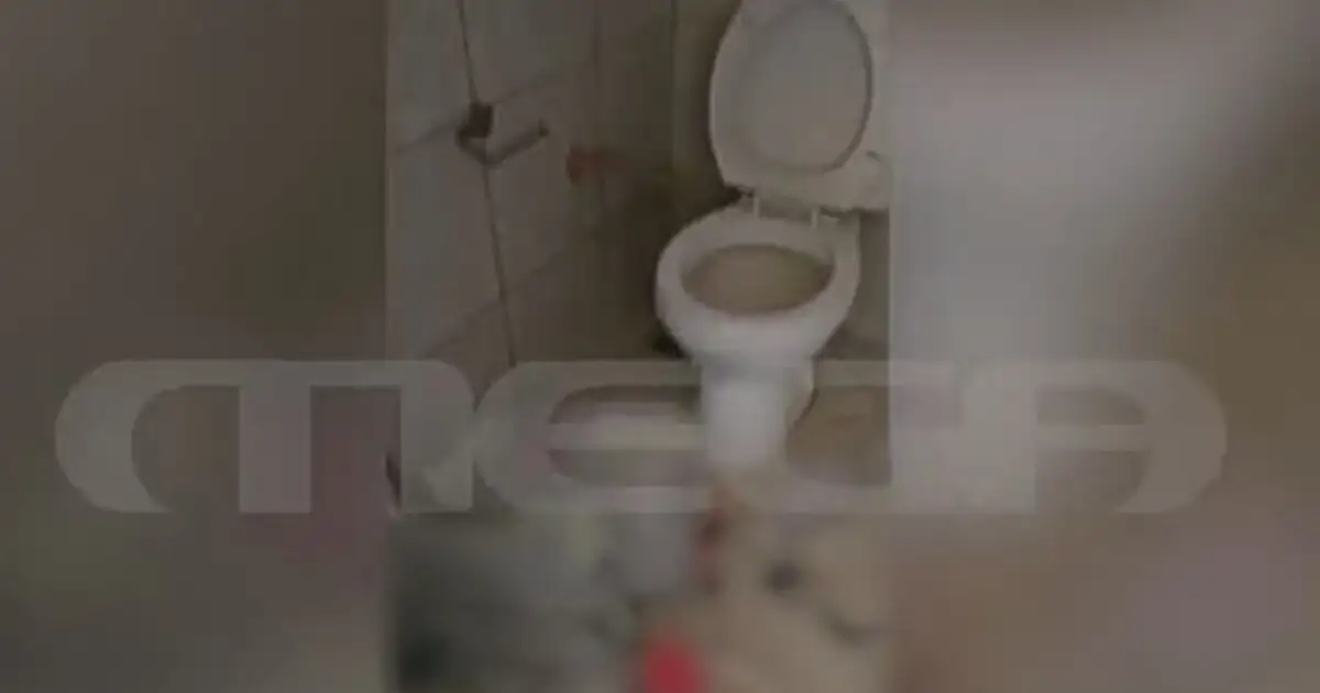 Περιστέρι:-Βίντεο-ντοκουμέντο-από-την-τρώγλη-που-ζούσαν-τα-6-αδερφάκια-–-Σπασμένα-πλακάκια,-ακαθαρσίες-και-χάος