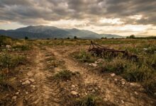 Ευρωπαϊκό-Μπλόκο:-Απειλή-για-τις-Αγροτικές-Επιδοτήσεις