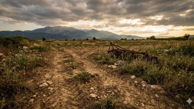 Ευρωπαϊκό-Μπλόκο:-Απειλή-για-τις-Αγροτικές-Επιδοτήσεις