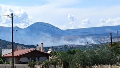 Φωτιά-στα-Καλύβια-σε-χαμηλή-βλάστηση:-Μεγάλη-κινητοποίηση-της-Πυροσβεστικής