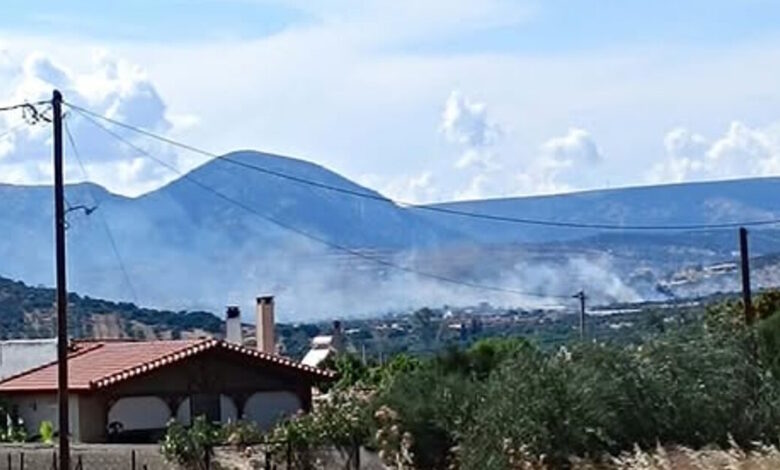 Φωτιά-στα-Καλύβια-σε-χαμηλή-βλάστηση:-Μεγάλη-κινητοποίηση-της-Πυροσβεστικής