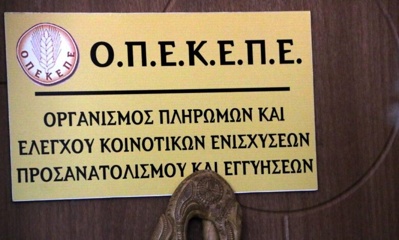 Κρήτη:-Στην-Ευρωπαϊκή-Εισαγγελία-οι-20-συλληφθέντες-–-Η-δράση-του-κυκλώματος-που-«έτρωγε»-επιδοτήσεις-του-ΟΠΕΚΕΠΕ