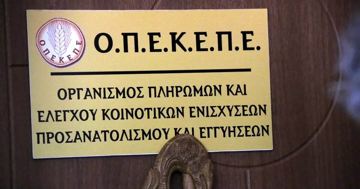 Κρήτη:-Στην-Ευρωπαϊκή-Εισαγγελία-οι-20-συλληφθέντες-–-Η-δράση-του-κυκλώματος-που-«έτρωγε»-επιδοτήσεις-του-ΟΠΕΚΕΠΕ
