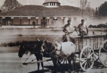 Έκδοση-βιβλίου-από-τον-Ιερό-Ναό-Αγίας-Παρασκευής-Φλαμουλίου