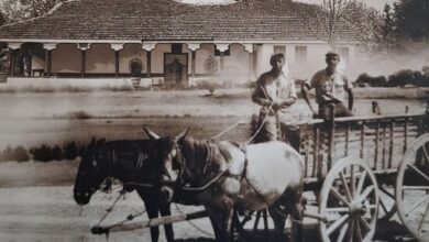 Έκδοση-βιβλίου-από-τον-Ιερό-Ναό-Αγίας-Παρασκευής-Φλαμουλίου