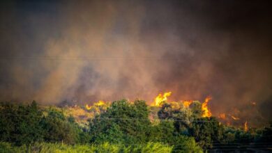 Φωτιά-στις-Σέρρες-σε-δασική-έκταση-–-Σηκώθηκαν-και-εναέρια-μέσα