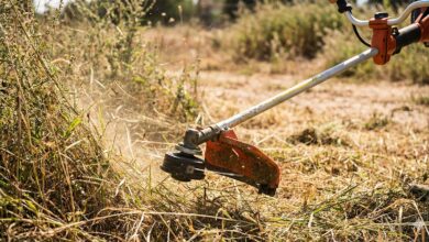 Ακαθάριστα-οικόπεδα:-Δήλωση-έως-15-Ιουνίου