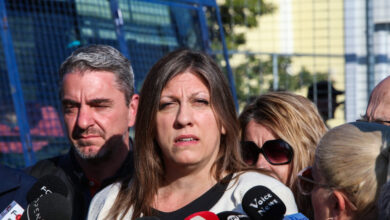 Κωνσταντοπούλου-για-κόμμα-Τσίπρα:-«Απύθμενο-θράσος-να-επανέρχεται-μετά-την-κωλοτούμπα-του-δημοψηφίσματος»