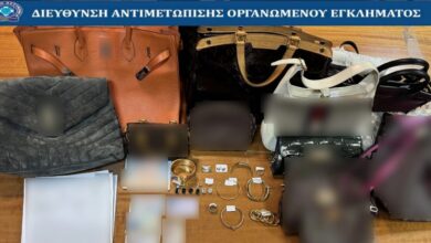 Διαρρήξεις-σε-βίλες-στην-Αττική-από-διεθνή-σπείρα-«εγκληματικού-τουρισμού»-–-Έγκλειστος-στη-φυλακή-ο-«εγκέφαλος»