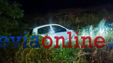 Τροχαίο-στη-Χαλκίδα:-Αυτοκίνητο-έπεσε-σε-γκρεμό-και-σταμάτησε-λίγο-πριν-τη-θάλασσα