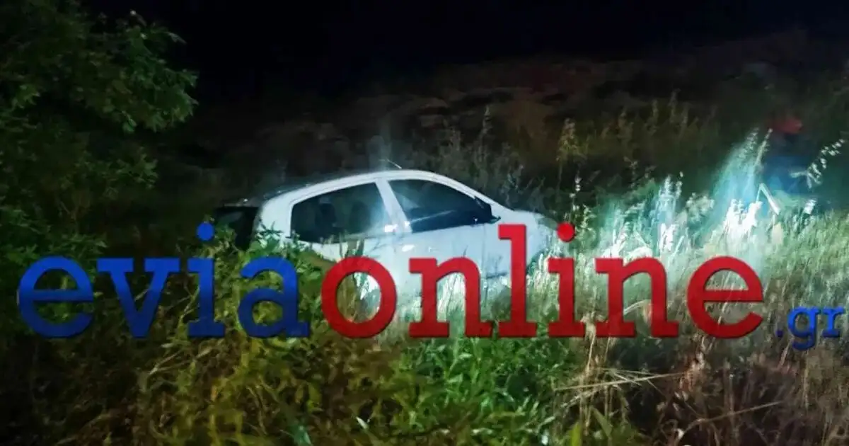 Τροχαίο-στη-Χαλκίδα:-Αυτοκίνητο-έπεσε-σε-γκρεμό-και-σταμάτησε-λίγο-πριν-τη-θάλασσα