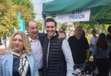 8ο-ΓΕΛ-Τρικάλων:-Έξυπνοι-κάδοι-από-μαθητές