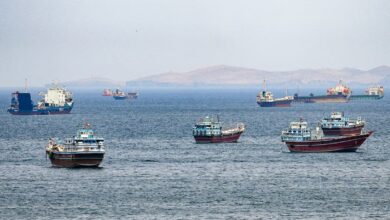 Πράσινο-φως-από-τους-Φρουρούς-της-Επανάστασης-για-20-πλοία-στα-Στενά-του-Ορμούζ