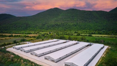 Η-Νιτσιάκος-εξαγοράζεται-από-την-ΜΗΡ:-Ποια-είναι-η-ουκρανική-εταιρεία-που-αποκτά-το-70%