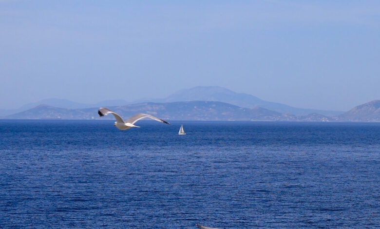 Καιρός-αύριο:-Στους-34-βαθμούς-η-θερμοκρασία-–-Έως-6-μποφόρ-στα-νότια