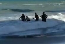Βραζιλία:-19χρονη-έχασε-το-πόδι-της-μετά-από-επίθεση-καρχαρία-σε-δημοφιλή-παραλία