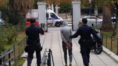 Βόλος:-«Ξαναχτύπησε»-ο-Κάμελ-–-Επιτέθηκε-σε-περαστικό-στη-συνοικία-των-Παλαιών