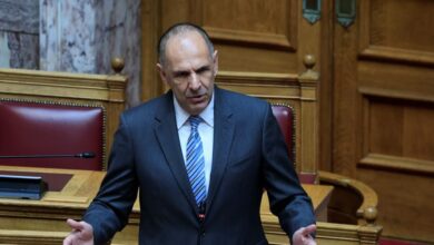 Γιώργος-Γεραπετρίτης-για-το-τουρκικό-νομοσχέδιο-για-τη-«Γαλάζια-Πατρίδα»:-Έχουμε-ενεργά-όλα-μας-τα-όπλα-και-όλους-τους-διαύλους