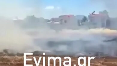 Εύβοια:-Συνελήφθη-50χρονος-για-τη-φωτιά-κοντά-σε-σπίτια-στη-Νέα-Αρτάκη