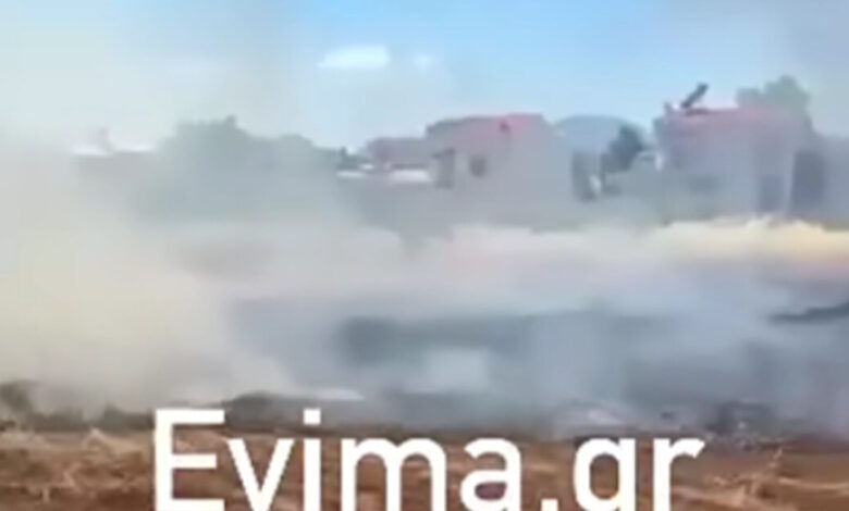 Εύβοια:-Συνελήφθη-50χρονος-για-τη-φωτιά-κοντά-σε-σπίτια-στη-Νέα-Αρτάκη