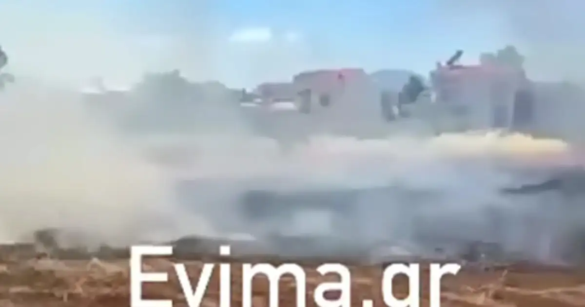 Εύβοια:-Συνελήφθη-50χρονος-για-τη-φωτιά-κοντά-σε-σπίτια-στη-Νέα-Αρτάκη