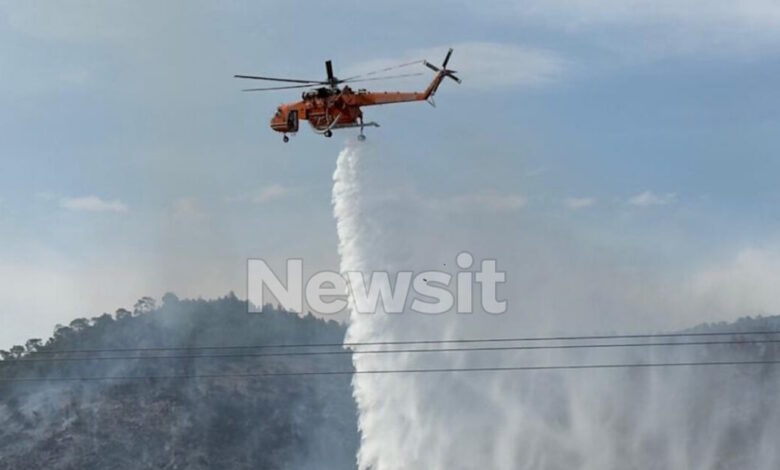 Φωτιά-στο-Λουτράκι:-Συνελήφθη-70χρονος-Γάλλος-που-εκτελούσε-αγροτικές-εργασίες-με-χορτοκοπτικό