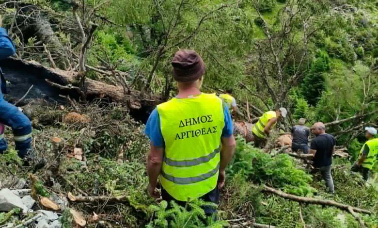 Φωτιά-από-κεραυνό-στα-Κουμπουριανά-Αργιθέας