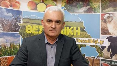 Αγροτικές-πληρωμές-και-κτηνοτρόφοι-στη-«Θεσσαλική-Γη»