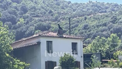 Αιτωλοακαρνανία:-Ισόβια-στον-68χρονο-πρώην-αστυνομικό-που-σκότωσε-τον-95χρονο-πατέρα-του