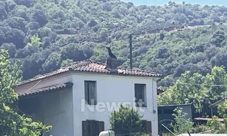 Αιτωλοακαρνανία:-Ισόβια-στον-68χρονο-πρώην-αστυνομικό-που-σκότωσε-τον-95χρονο-πατέρα-του