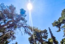 Καιρός-αύριο:-Αίθριος-με-λίγες-νεφώσεις-και-μικρή-άνοδο-της-θερμοκρασίας