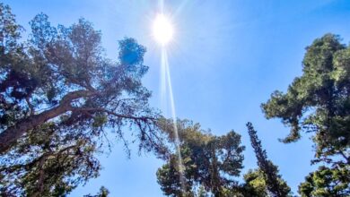 Καιρός-αύριο:-Αίθριος-με-λίγες-νεφώσεις-και-μικρή-άνοδο-της-θερμοκρασίας