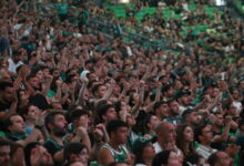 Παναθηναϊκός:-«Τρέλα»-και-ατμόσφαιρα-αγώνα-από-τους-οπαδούς-του-«τριφυλλιού»-στο-t-center