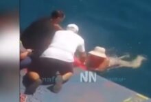 Γυναίκα-διασώθηκε-από-φέρι-μποτ-όταν-παρασύρθηκε-από-θαλάσσια-ρεύματα-στο-Ρίο-–-Αντίρριο