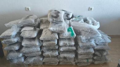 Ηγουμενίτσα:-Κατασχέθηκαν-96-κιλά-κάνναβης-–-Αστυνομικοί-βρήκανε-90-δέματα-μέσα-στο-αυτοκίνητο-γυναίκας