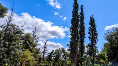 Καιρός-αύριο:-Στους-35-βαθμούς-η-θερμοκρασία-–-Βροχές-στο-Ιόνιο,-καταιγίδες-στα-βόρεια-ηπειρωτικά