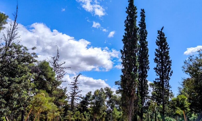 Καιρός-αύριο:-Στους-35-βαθμούς-η-θερμοκρασία-–-Βροχές-στο-Ιόνιο,-καταιγίδες-στα-βόρεια-ηπειρωτικά