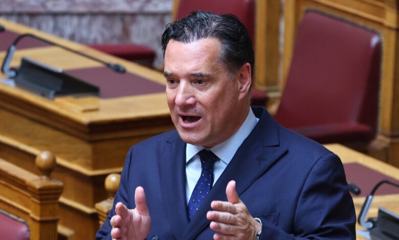 Άδωνις-Γεωργιάδης:-Το-περιστατικό-με-τον-θάνατο-της-νοσηλεύτριας-στο-Ναύπλιο-δεν-πρέπει-να-«χρεώνεται»-στους-Ρομά