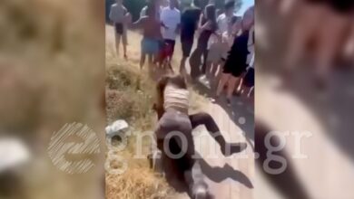Εύβοια:-Άγρια-συμπλοκή-μεταξύ-μαθητριών-έξω-από-σχολείο-–-Ζητωκραύγαζαν-και-τραβούσαν-βίντεο-οι-συμμαθητές-τους