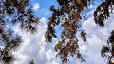 Καιρός-σήμερα-:-Τους-33-βαθμούς-αγγίζει-η-θερμοκρασία-–-Βροχές-στα-ορεινά-και-άνεμοι-έως-7-μποφόρ-στο-Αιγαίο