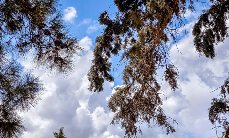 Καιρός-σήμερα-:-Τους-33-βαθμούς-αγγίζει-η-θερμοκρασία-–-Βροχές-στα-ορεινά-και-άνεμοι-έως-7-μποφόρ-στο-Αιγαίο