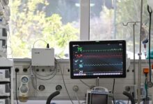 Σίδνεϊ:-Ξύπνησε-από-το-κώμα-34χρονη-που-δέχτηκε-επίθεση-από-καρχαρία-–-Συνεχίζει-να-νοσηλεύεται-στη-ΜΕΘ