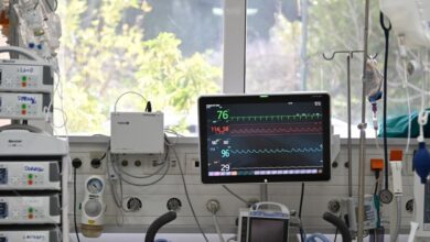 Σίδνεϊ:-Ξύπνησε-από-το-κώμα-34χρονη-που-δέχτηκε-επίθεση-από-καρχαρία-–-Συνεχίζει-να-νοσηλεύεται-στη-ΜΕΘ