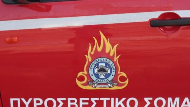 Φωτιά-στα-Γρεβενά-–-Επιχειρούν-15-πυροσβέστες