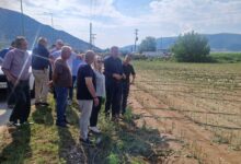 Φαρκαδόνα:-Αυτοψία-στις-καλλιέργειες-μετά-το-χαλάζι