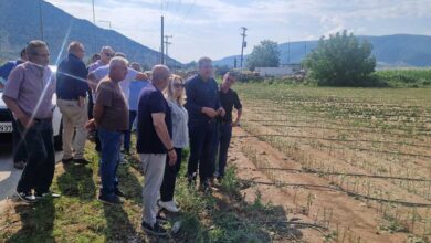 Φαρκαδόνα:-Αυτοψία-στις-καλλιέργειες-μετά-το-χαλάζι