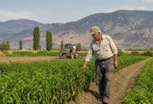 Στο-Μητρώο-Αγροτών-οι-συνταξιούχοι-αναπηρίας-–-Τι-αλλάζει