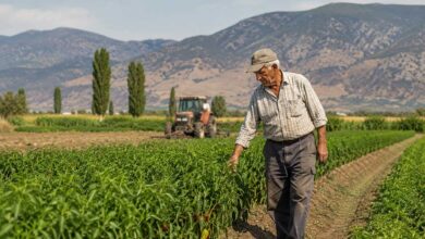 Στο-Μητρώο-Αγροτών-οι-συνταξιούχοι-αναπηρίας-–-Τι-αλλάζει