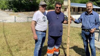 Δενδροφύτευση-από-τον-Δήμο-Τρικκαίων-στην-Κόρη