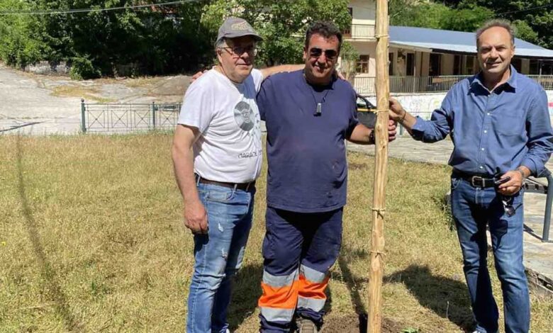 Δενδροφύτευση-από-τον-Δήμο-Τρικκαίων-στην-Κόρη